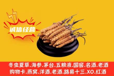 常熟市回收冬虫夏草
